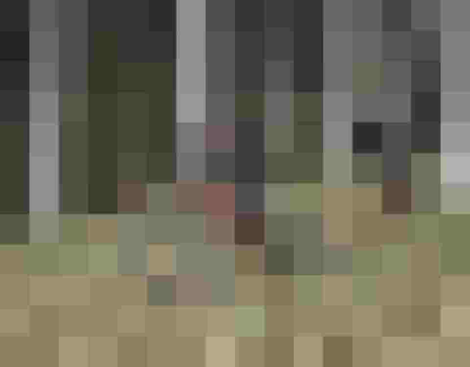 Zwei Mountainbiker auf Trail im Wald beim Aktivurlaub im Salzburger Land im Naturhotel