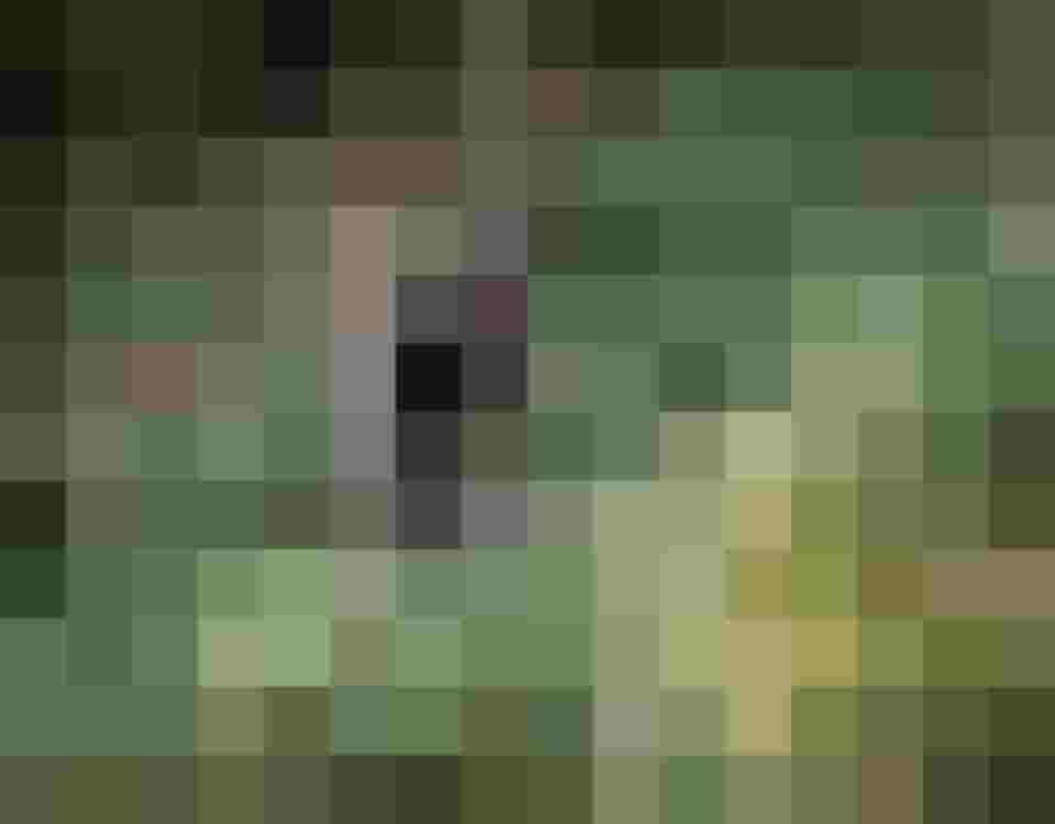 Mountainbiker fährt durch dichten Wald im Salzburger Land bei Aktivurlaub und Naturerlebnis