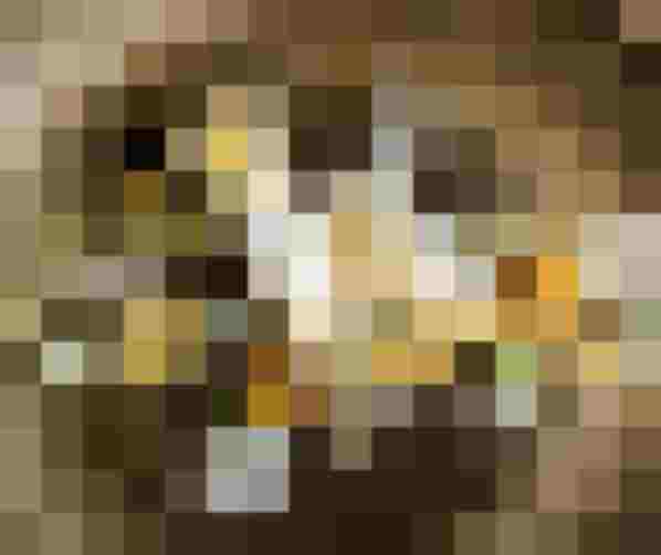 Cremiges Dessert mit Früchten und Kräutern als Gourmetgericht im Wellnesshotel Salzburger Land