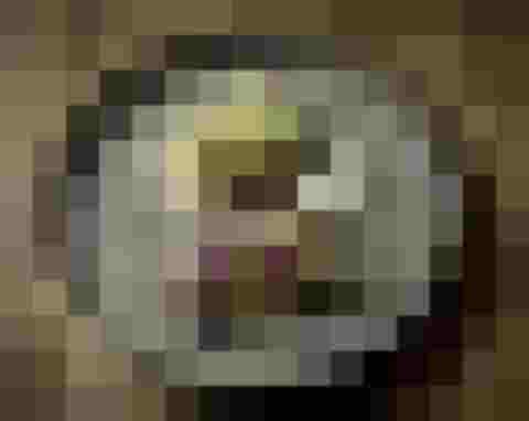 Gourmetgericht mit Fisch, essbaren Blüten und Gemüse auf grauem Teller