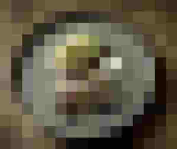 Gourmetgericht mit Fisch, essbaren Blüten und Gemüse auf grauem Teller