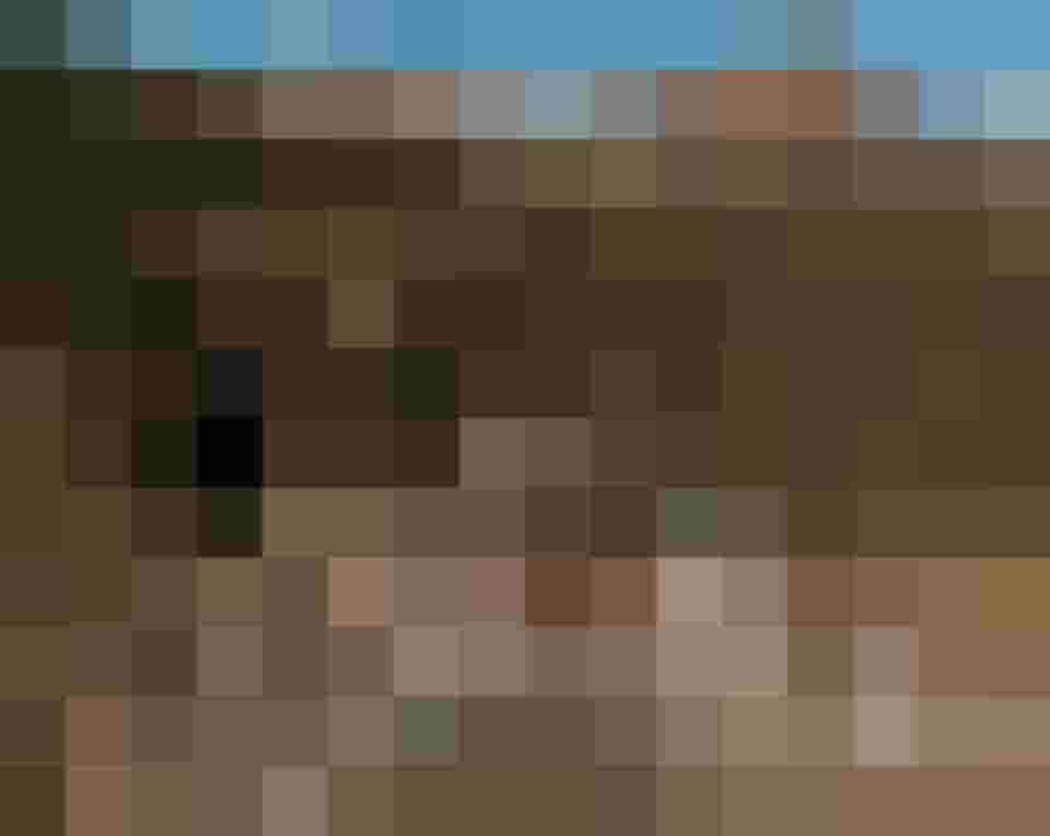 Luxushotel in alpiner Landschaft mit Wald und Bergen im Hintergrund